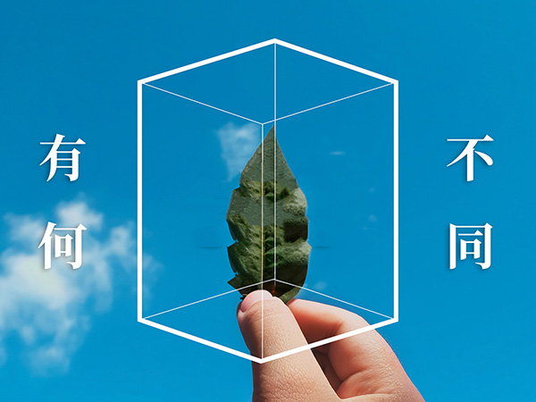 大型企业安全漏洞扫描方案，和普通方案有什么区别？