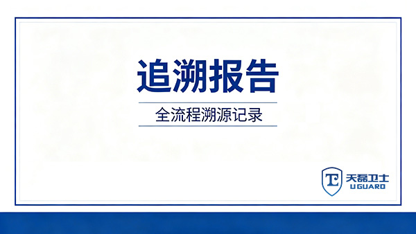 代码审计如何满足等保2.0合规要求？天磊卫士提供可追溯报告